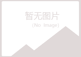 永吉县紫山化学有限公司